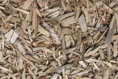 biomass boilers Langdon Beck